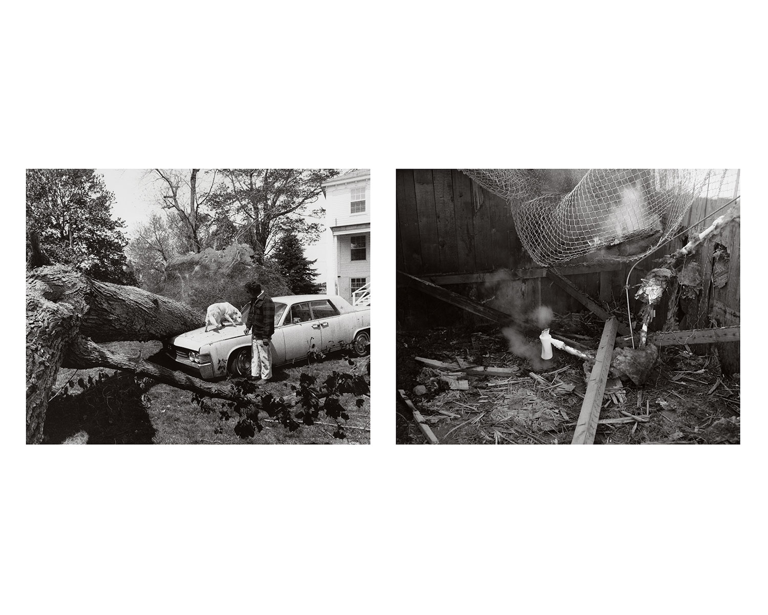 edition5-copy edition5-copy